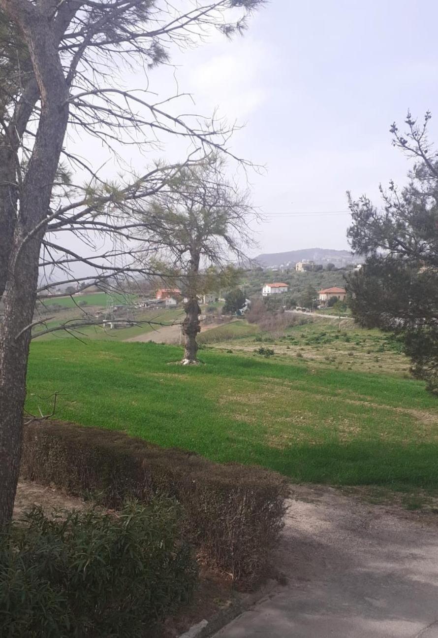 La Casetta Dei Sogni Casalanguida Bagian luar foto